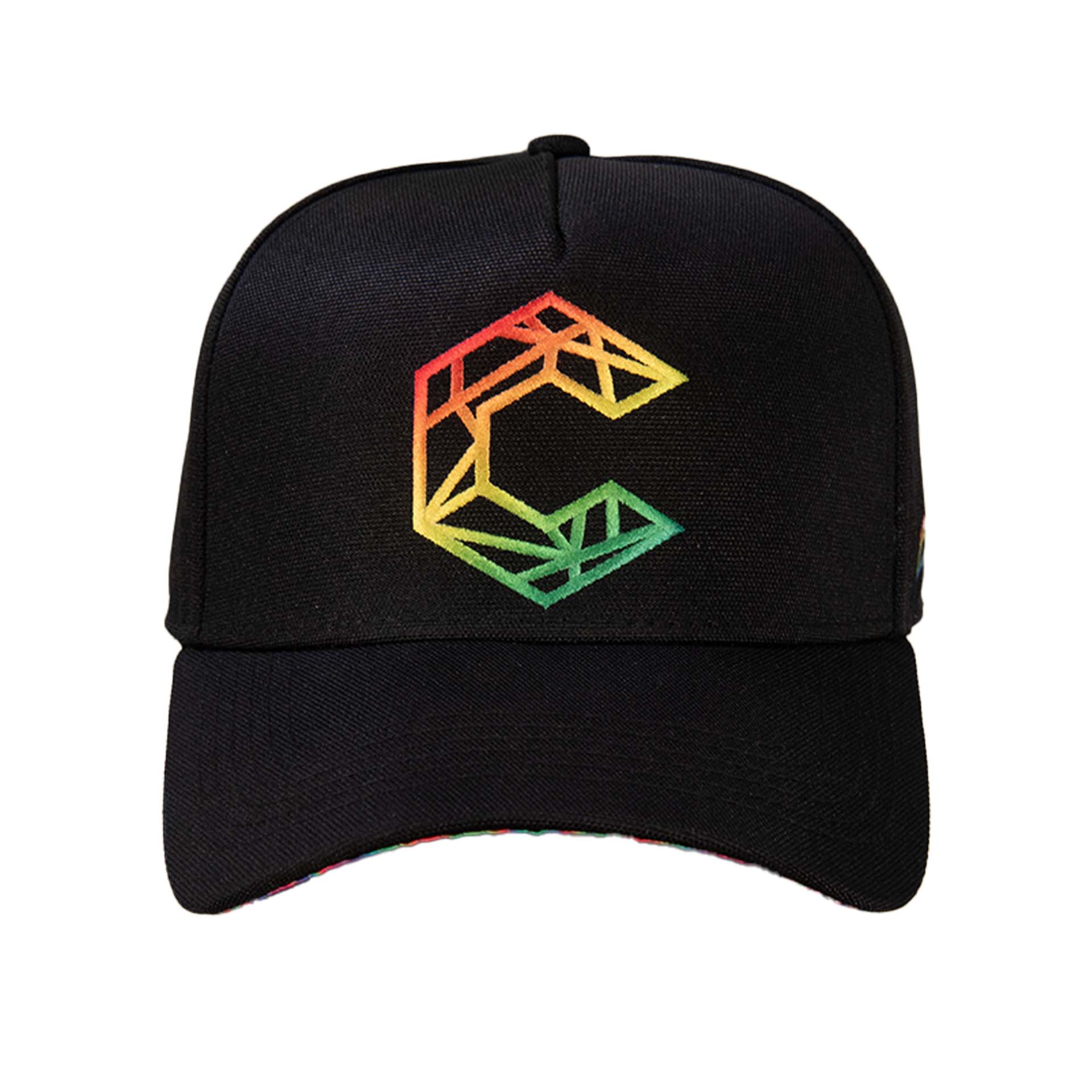 Colorimetry Dad Hat | The Steve