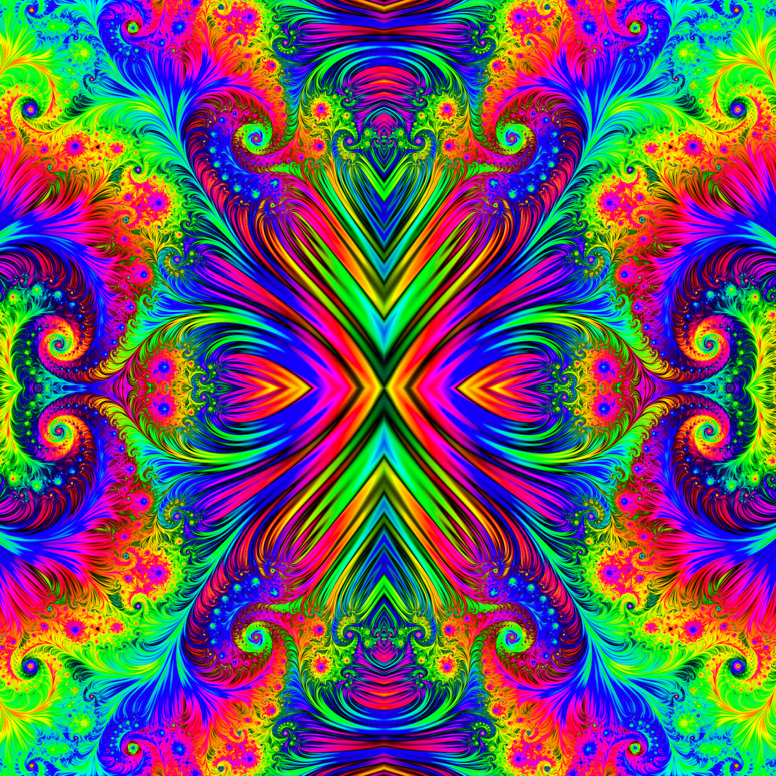 Fractal Wonderland