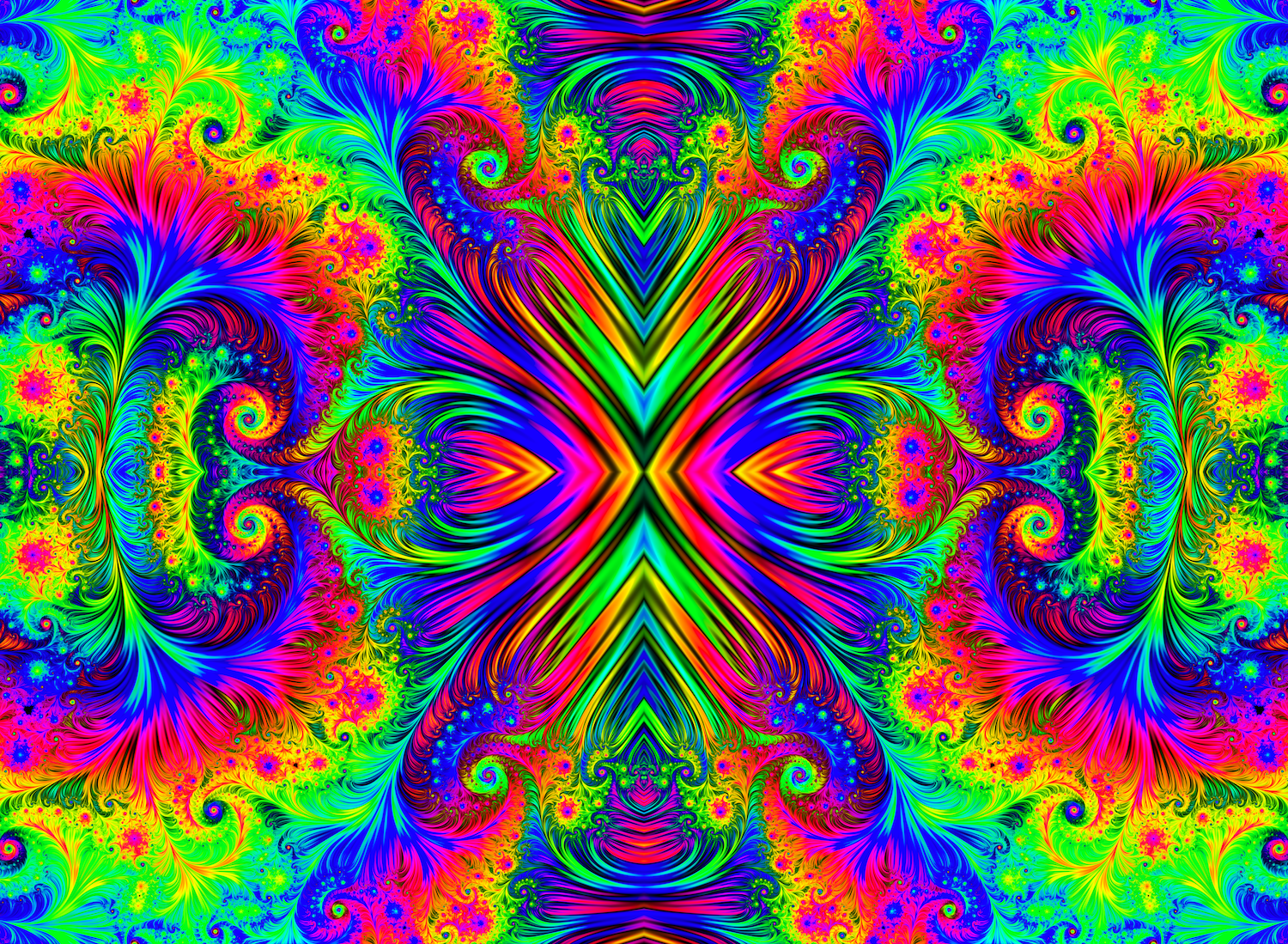 Fractal Wonderland